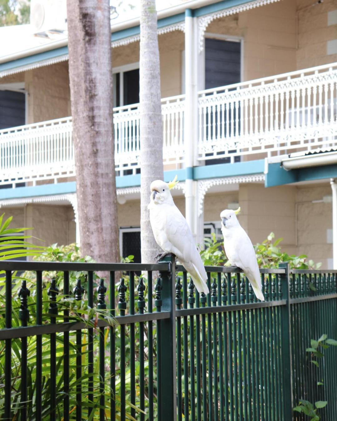 Colonial Palms Motor Inn Еърли Бийч Екстериор снимка